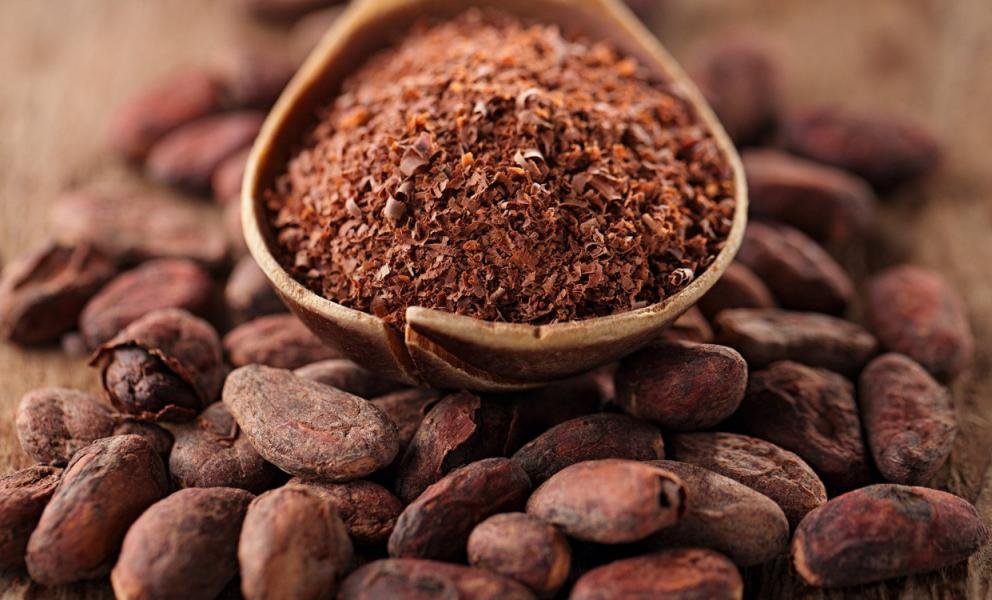 الإمارات توقع اتفاقاً لبناء مصنع لإنتاج الكاكاو في ساحل العاج