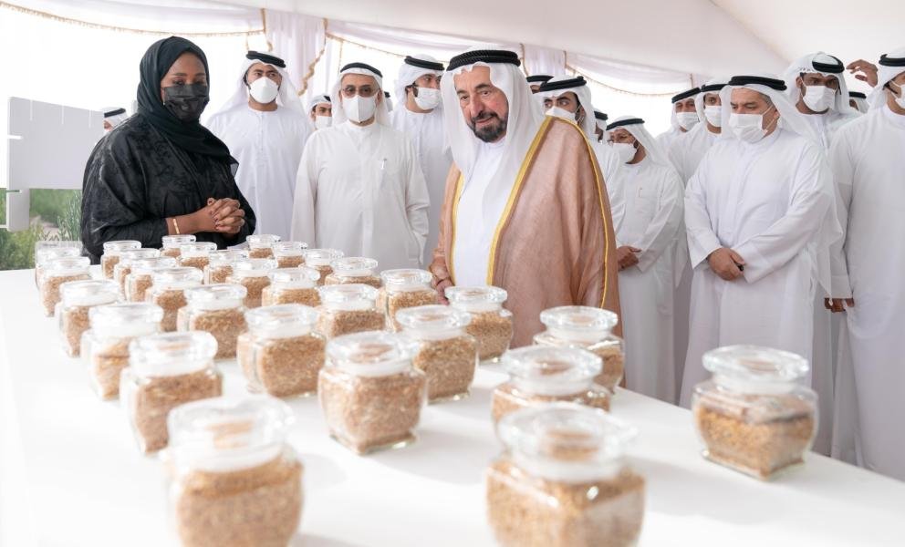 الأول وطنياً.. دقيق سبع سنابل ينال علامة صنع بالإمارات