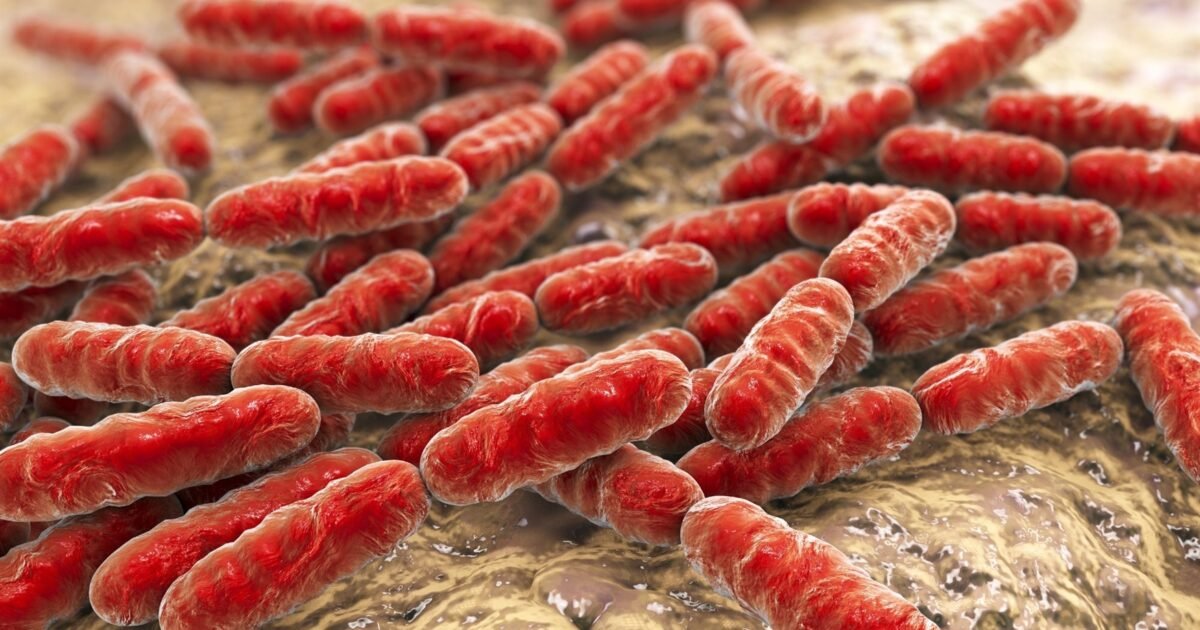 نصيحة للمستهلكين: تحقق من الملصق وتخلص من دفعات Robust Radish Mix المشمولة