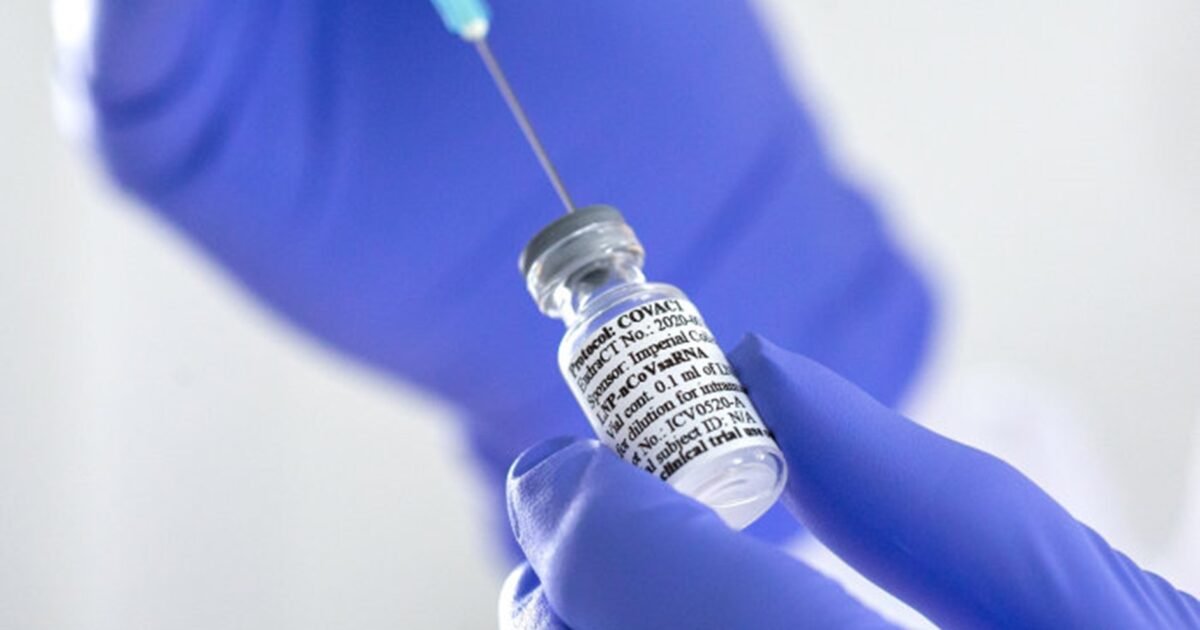 التركيبات الجديدة تستهدف متحورات مرتبطة بسلالة XFG بحسب FDA - صورة مميزة صورة مميزة: التركيبات الجديدة تستهدف متحورات مرتبطة بسلالة XFG بحسب FDA