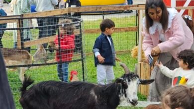 MM Horses and Animals تُرسخ مفهومًا جديدًا لتنظيم مناسبات الأطفال