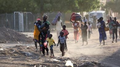الإمارات ترحب بالبيان الختامي لقمة دول جوار السودان